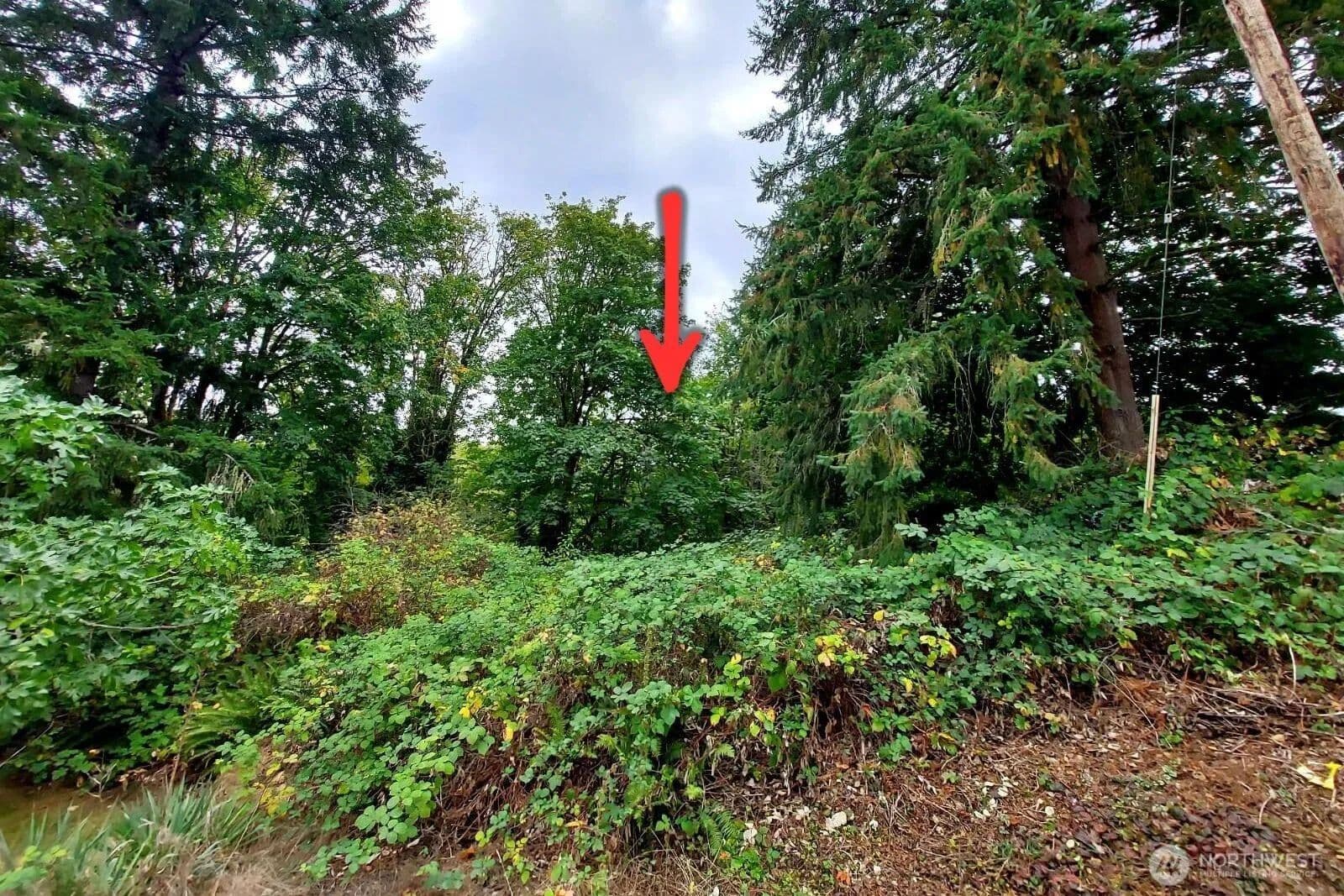 Vacant Land in Port Orchard - Port Orchard, Washington, 98366