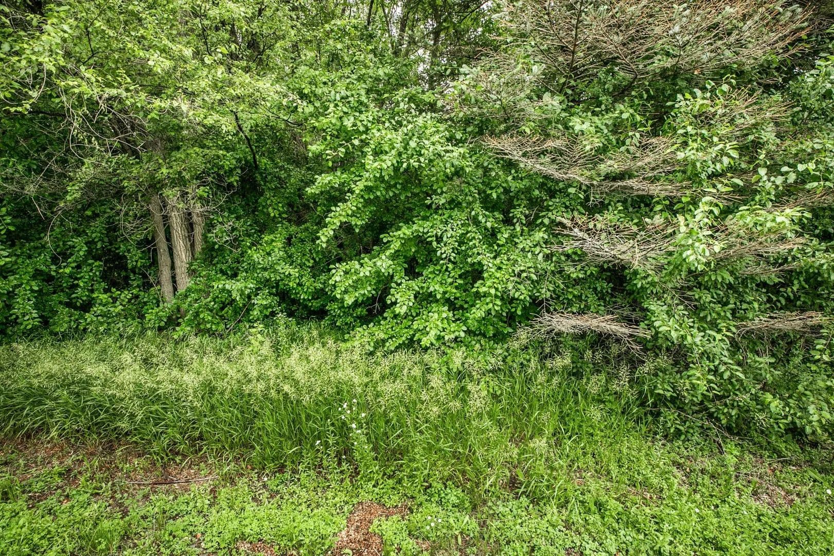 Vacant Land in Saint Cloud - Saint Cloud, Minnesota, 56301