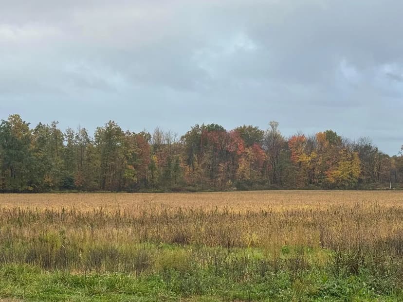 Vacant Land in Austinburg