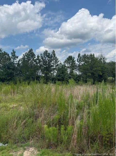 Vacant Land in Cameron
