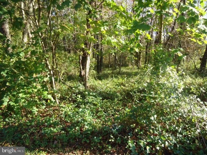 Lots & Land-Other in Pilesgrove - Pilesgrove, New Jersey, 08098