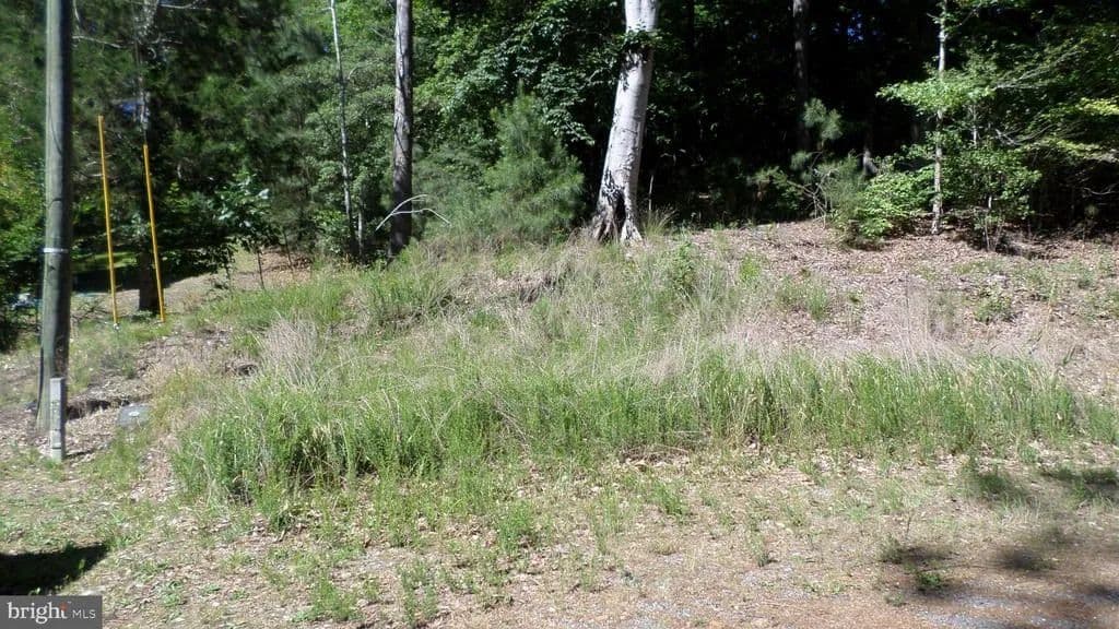 Property from CASTLE DRIVE - KW - Montross, Virginia, 22520
