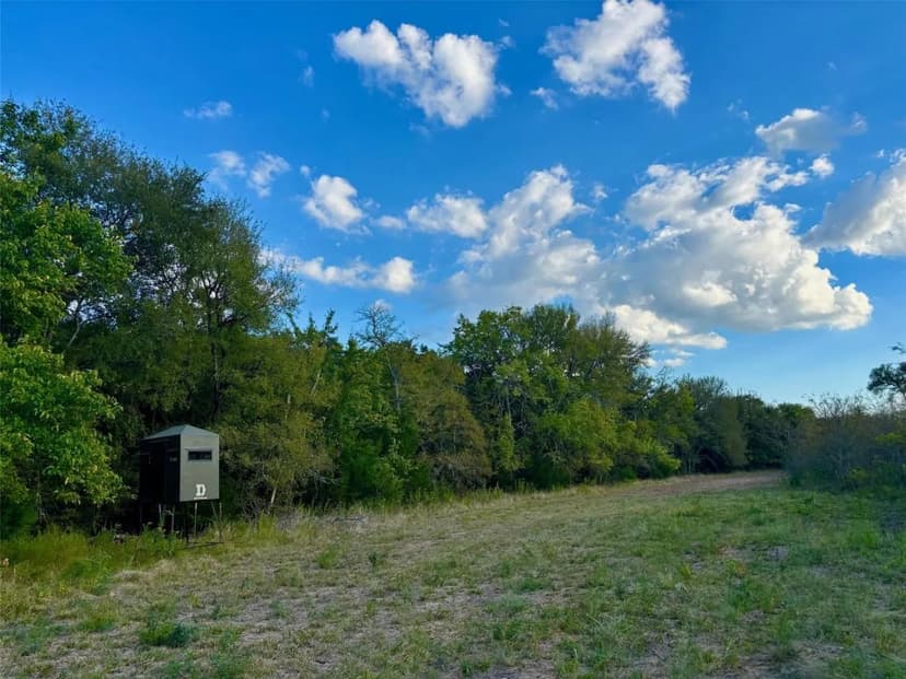 2967 County Road 4410