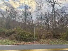 Vacant Land (10+ Acres) in Mifflintown - Mifflintown, Pennsylvania, 17059