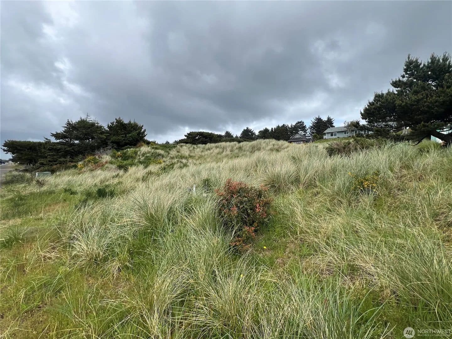 Vacant Land in Ocean Park - Ocean Park, Washington, 98640