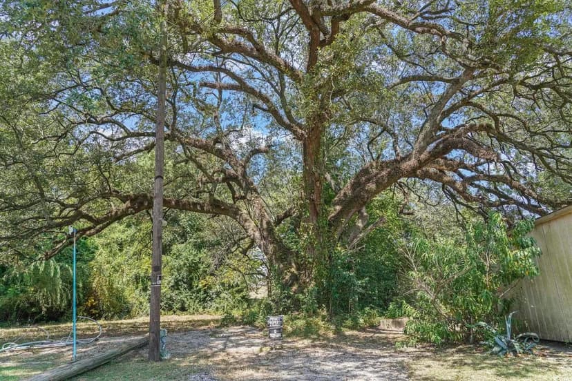 Property from 411 Apple Ln. - KW