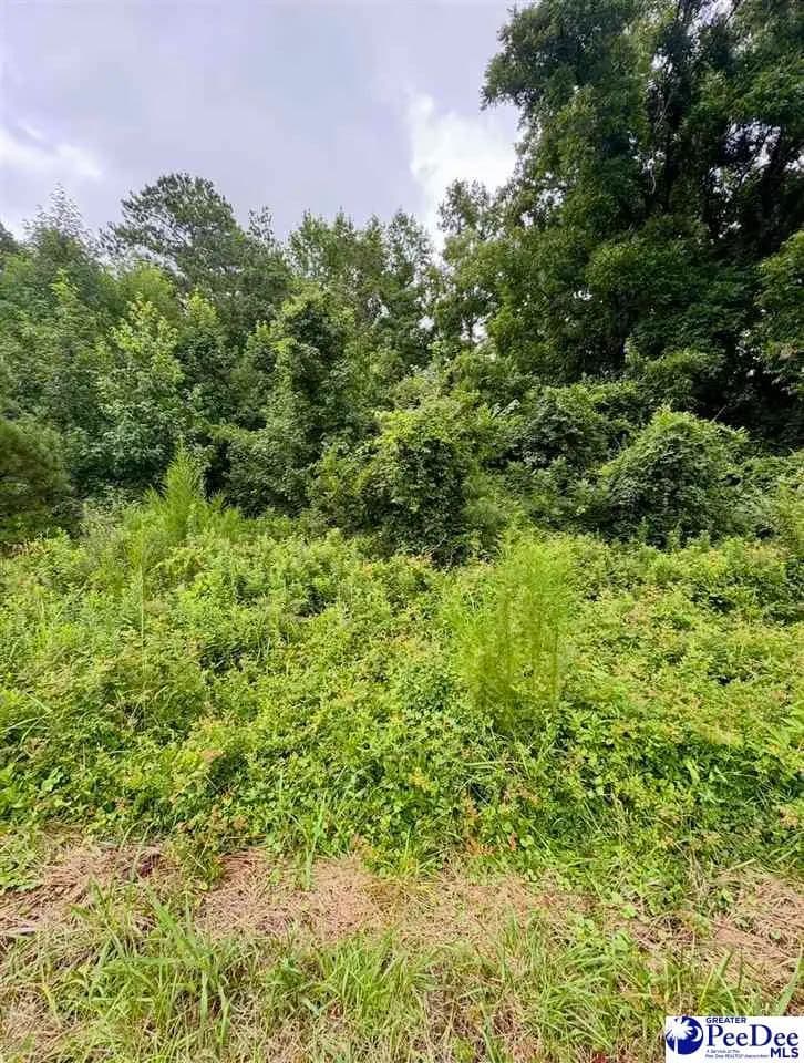 0.16 Acres of Land for Sale in Sellers, South Carolina - Sellers, South Carolina, 29592