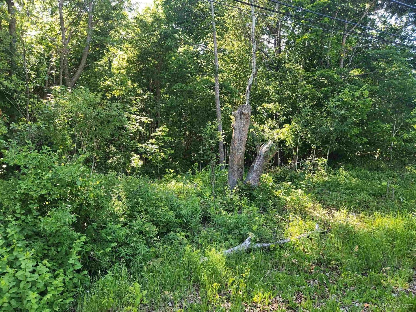 Vacant Land in Calumet - Calumet, Michigan, 49913