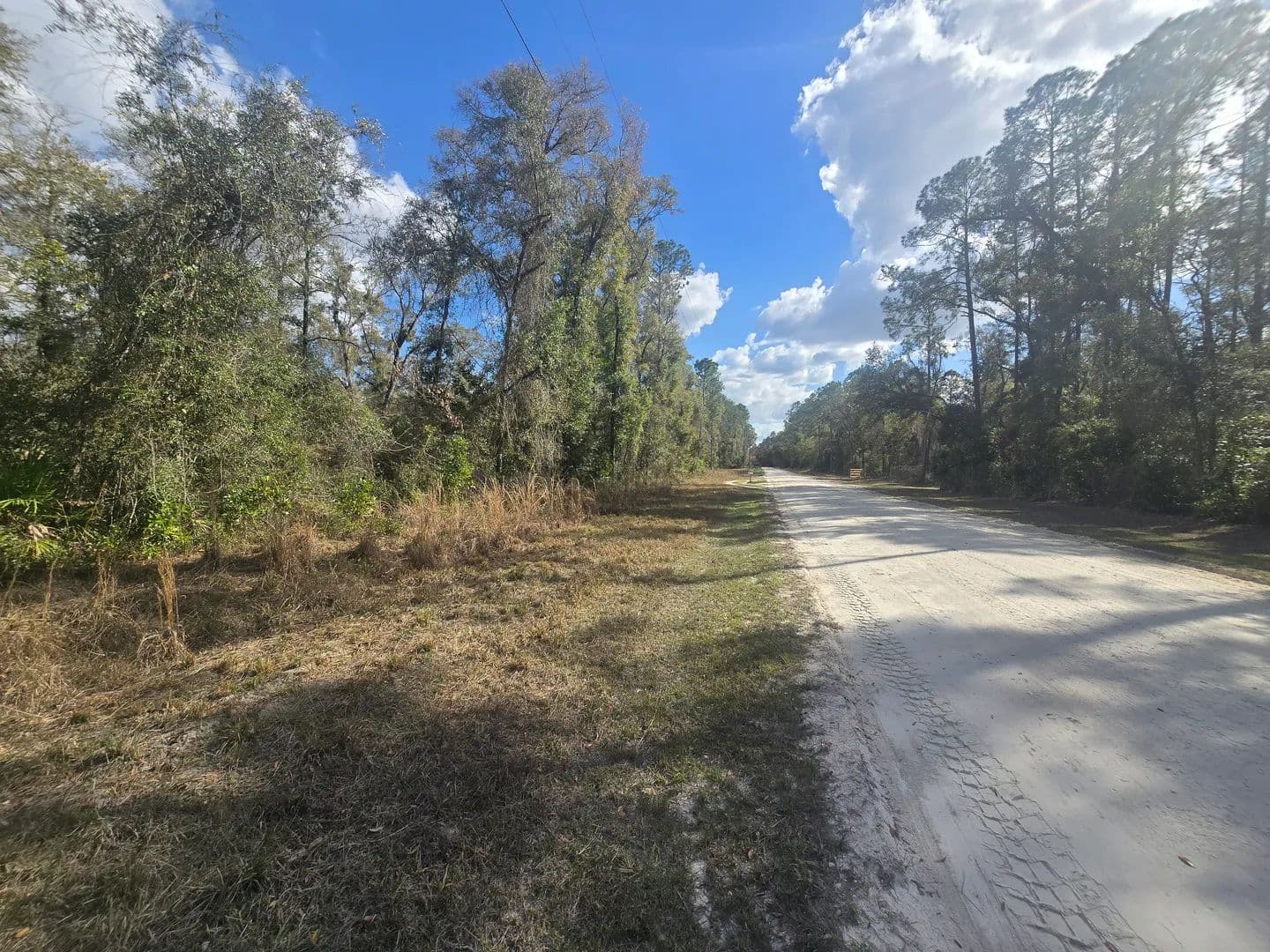 Land -Single Family Acreage in Old Town - Old Town, Florida, 32680