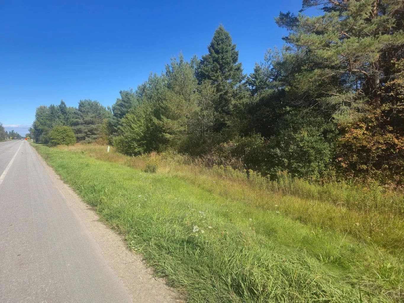 Land -Single Family Acreage in Dafter - Dafter, Michigan, 49724