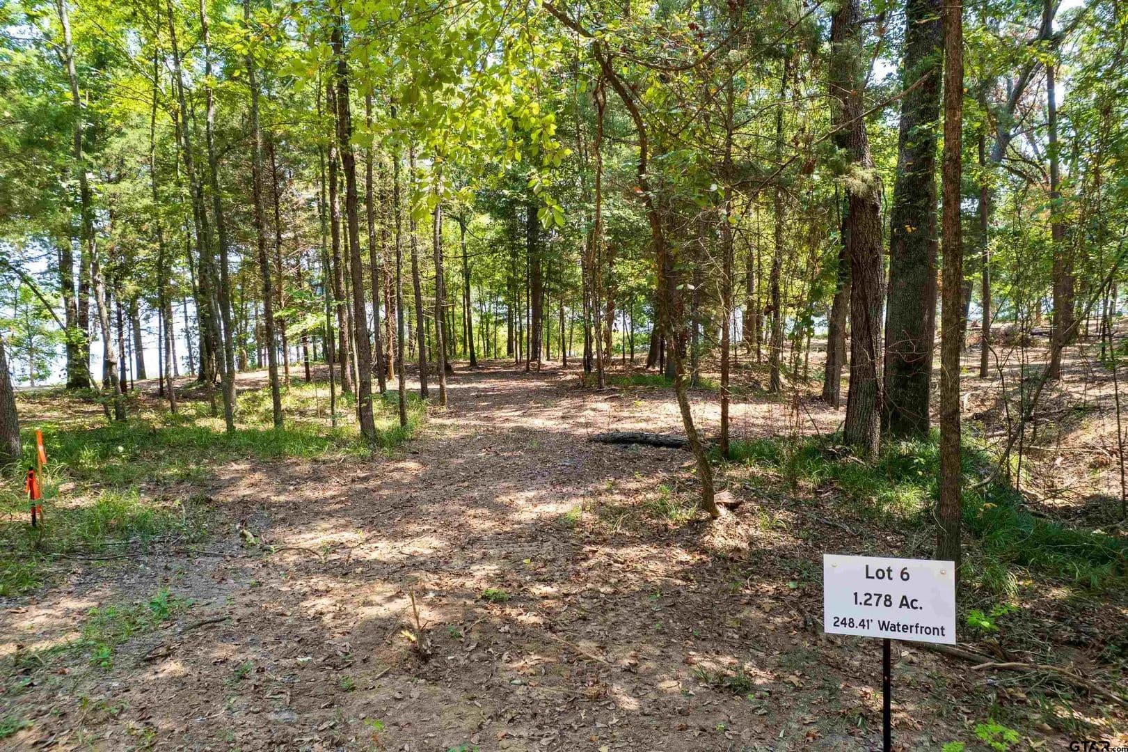 Vacant Land in Leesburg - Leesburg, Texas, 75451