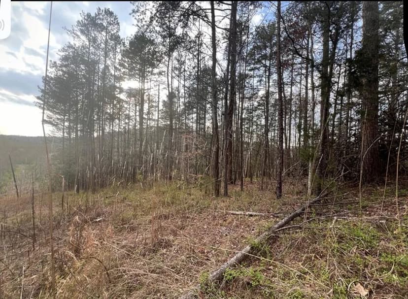 Lots & Land-Other in Louisa