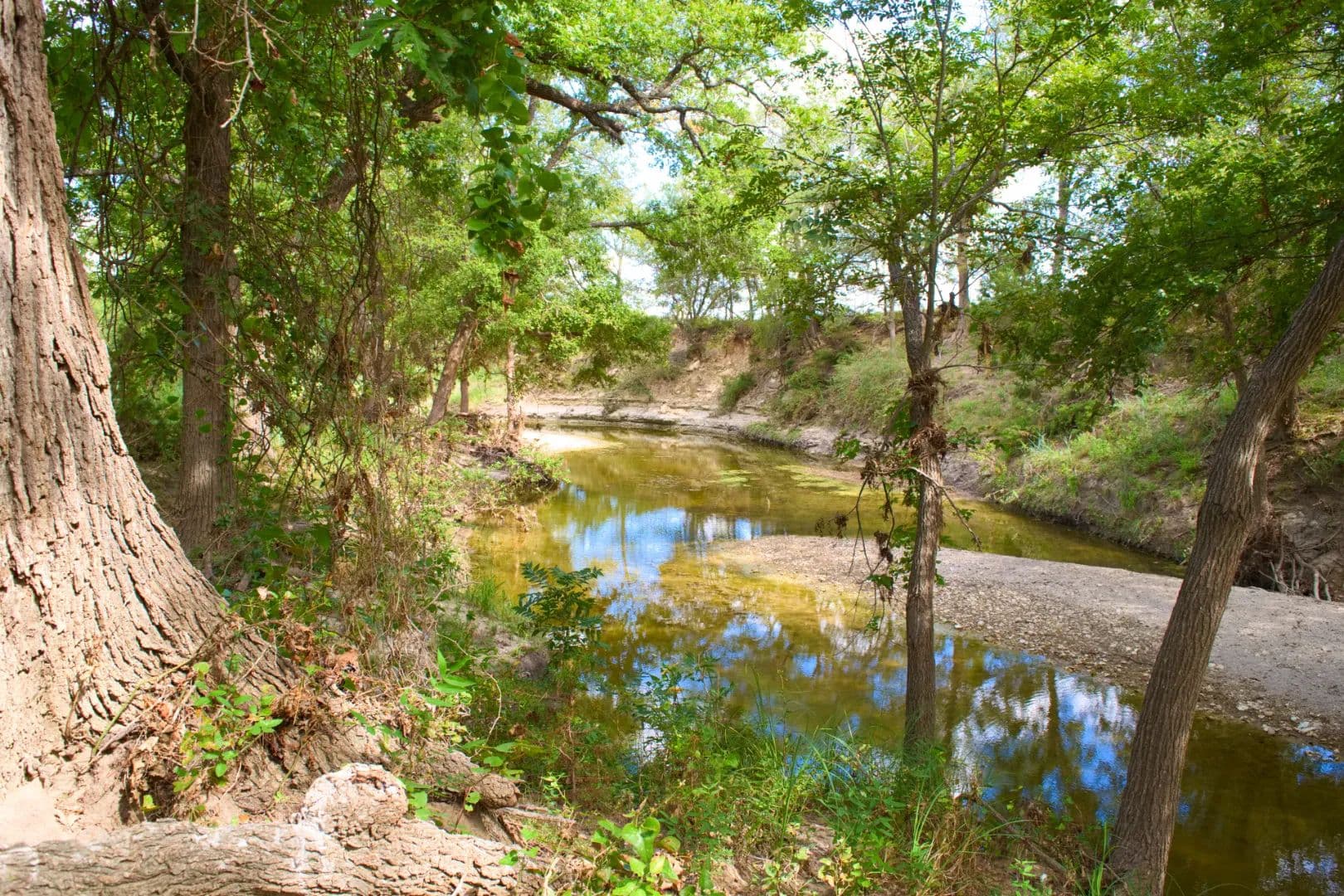 Hamilton County Cattle Ranch For Sale  - Texas, 76525