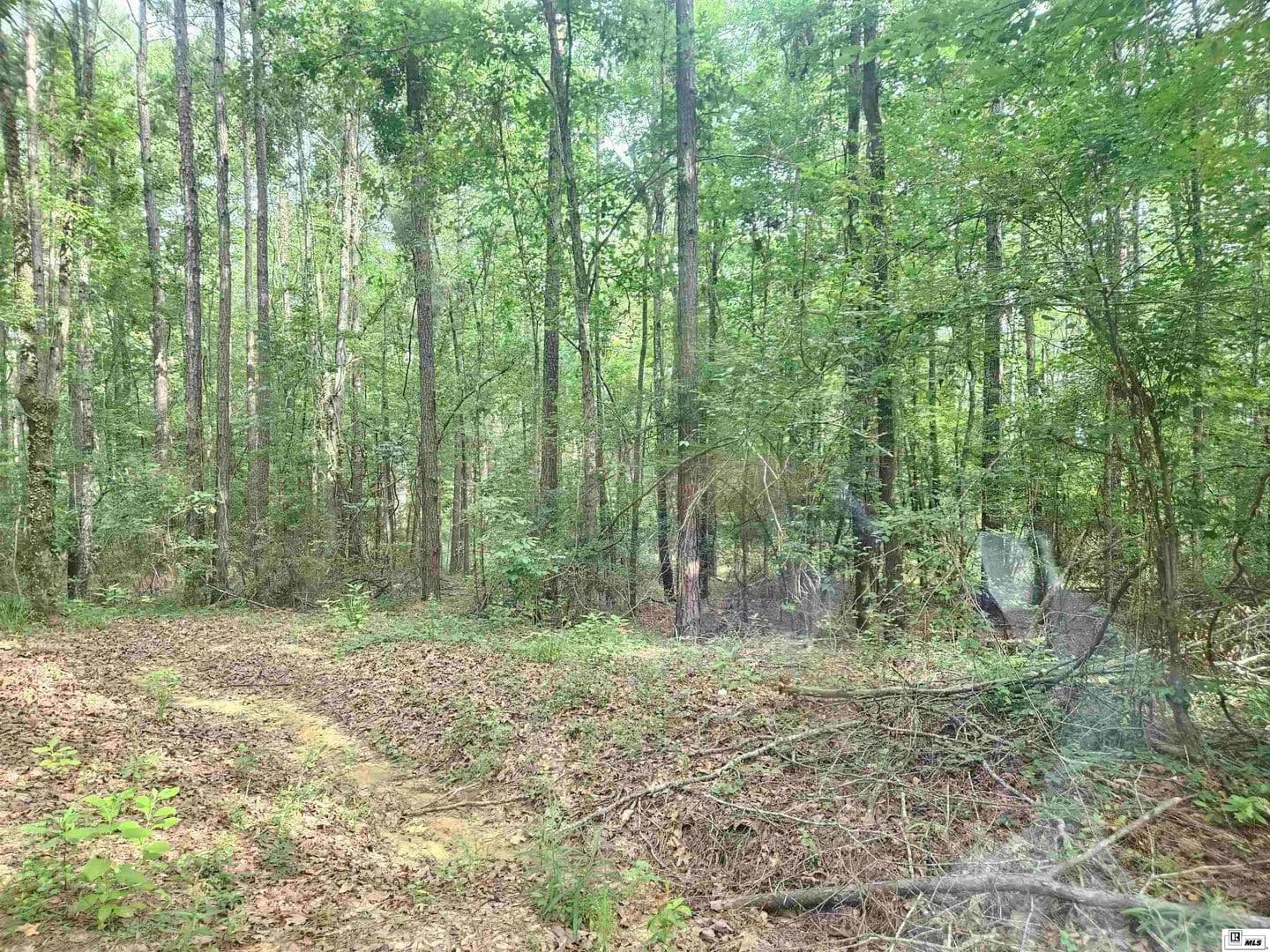 Vacant Land in Columbia - Columbia, Louisiana, 71418