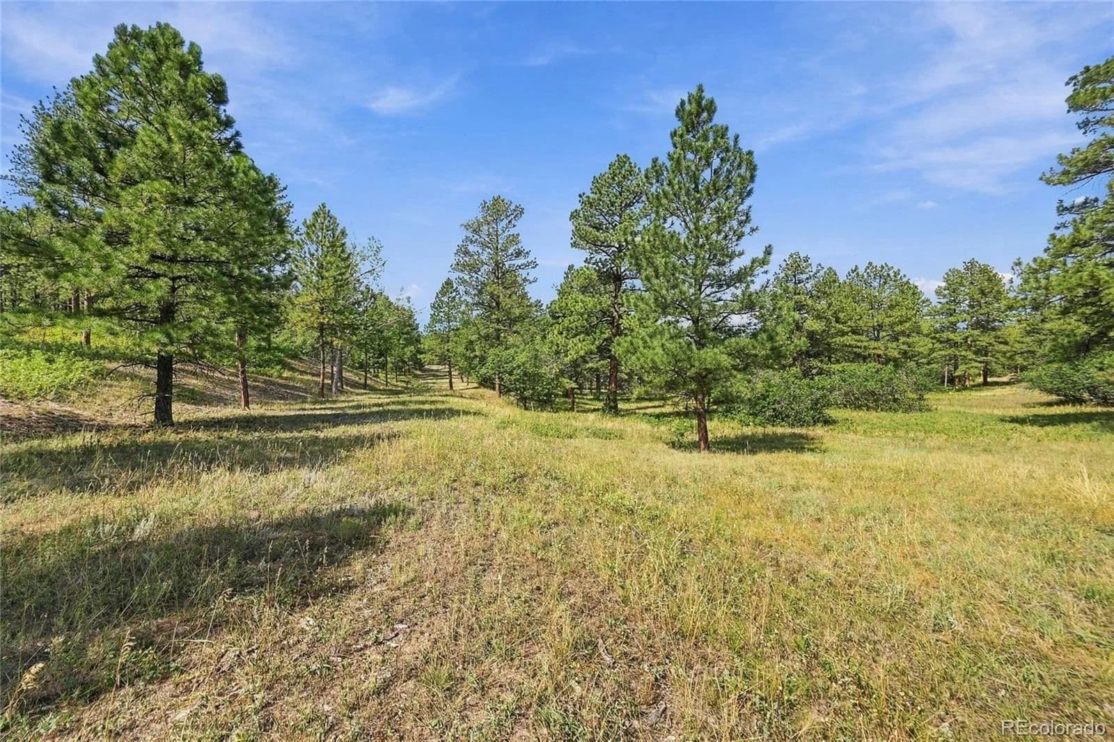 21.01 Acres of Land for Sale in Larkspur, CO - Larkspur, Colorado, 80118