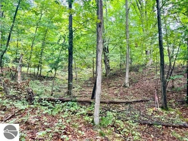 Property from Killdale Avenue - KW - Benzonia, Michigan, 49616