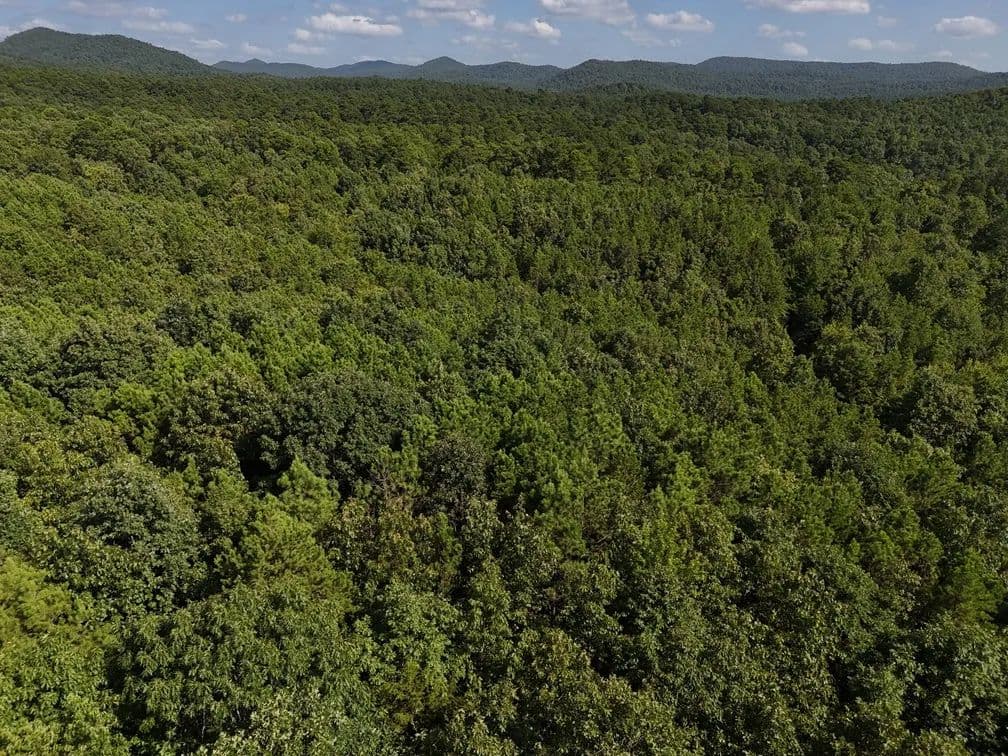 Land -Single Family Acreage in Mena - Mena, Arkansas, 71953