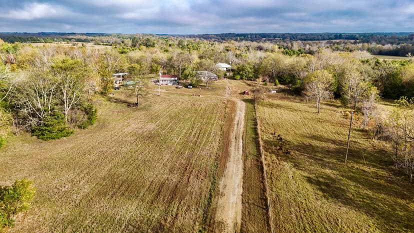 242 Acres with a Home in Sumter County, AL 