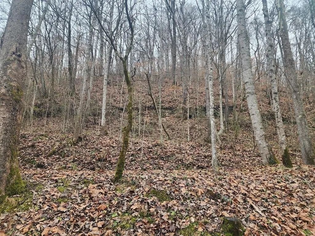 Lots & Land-Other in Prestonsburg - Prestonsburg, Kentucky, 41653