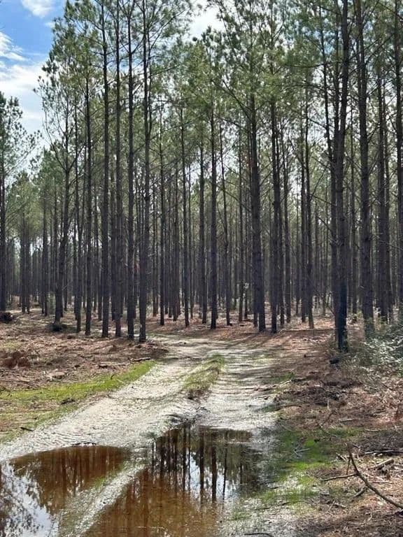 Vacant Land in Huntington - Huntington, Texas, 75949