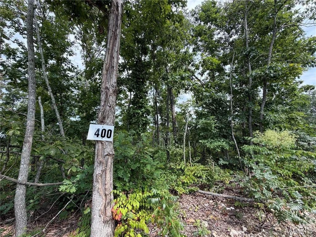 Lots & Land-Other in Fredericktown - Fredericktown, Missouri, 63645