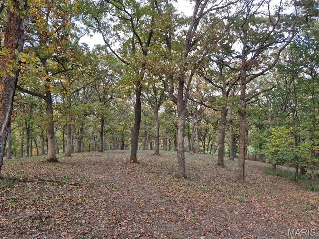 Property from 0 Highway D - Tract 5a (14+/- Acres) - KW - Eolia, Missouri, 63344