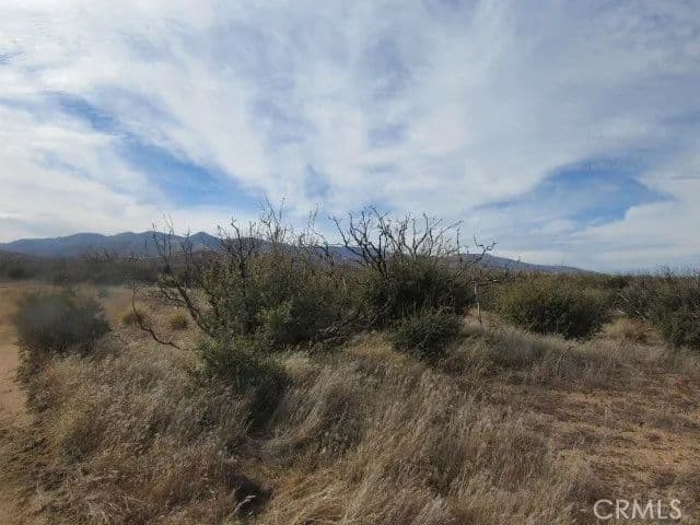 Vacant Land in Phelan - Phelan, California, 92371