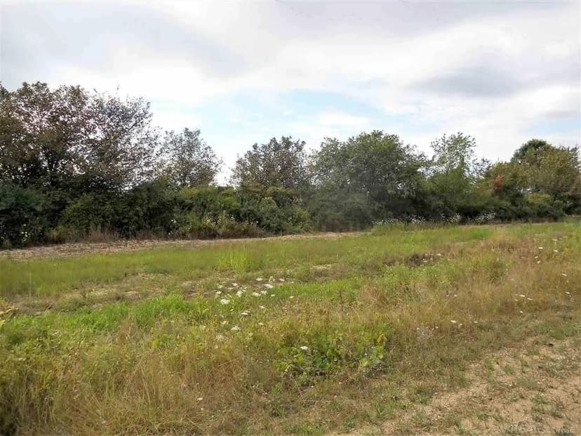 Lots & Land-Other in Imlay City