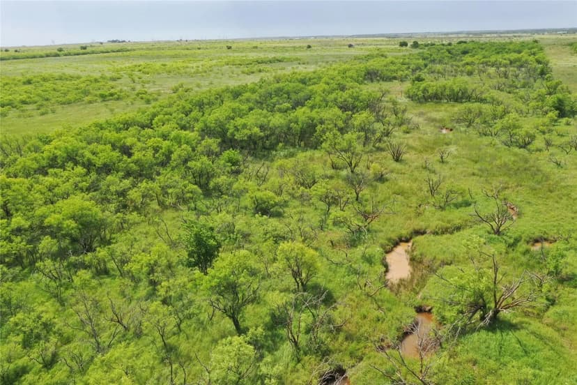 Lots & Land-Other in Bellevue