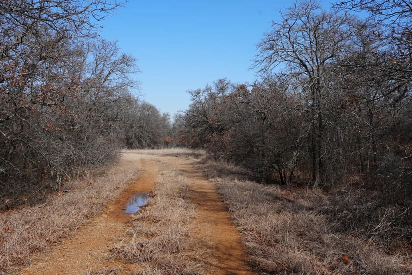 NEW LISTING! 10.37 Acres (TR 10), Eastland County