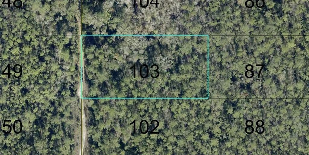 Vacant Land in Hastings - Hastings, Florida, 32145