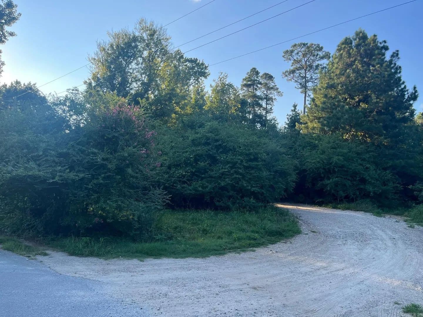 Lots & Land-Other in Bauxite - Bauxite, Arkansas, 72011