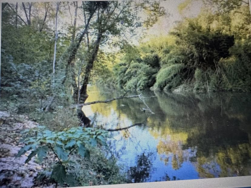 Vacant Land (0-10 Acres) in Gretna