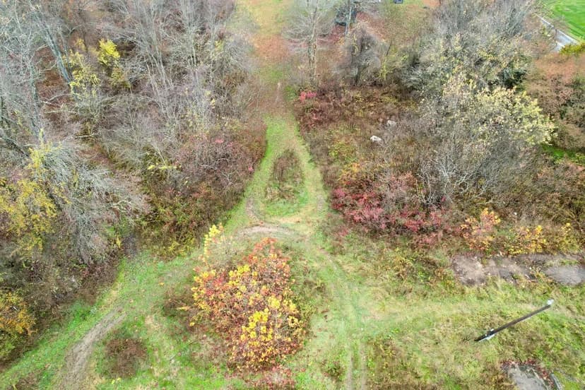 Cross Creek Rd., Washington County - 10 +/- Acres