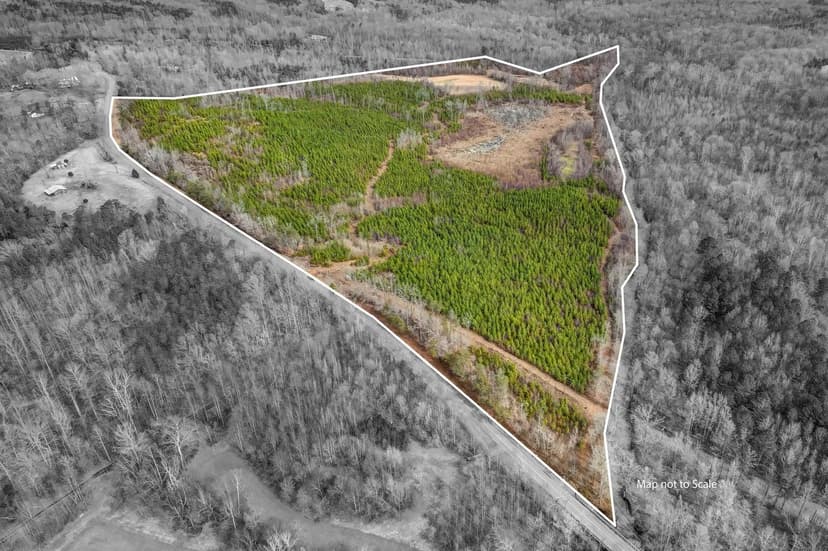 Vacant Land in Reidsville