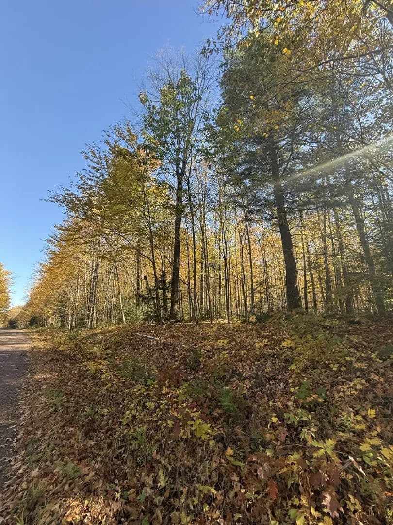 Vacant Land in Ashland