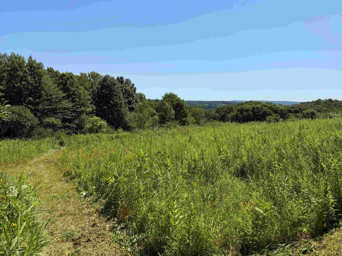 23 acres Hunting Land and Recreational Land with Building Lot in South Dayton NY Dye Road - South Dayton, New York, 14138