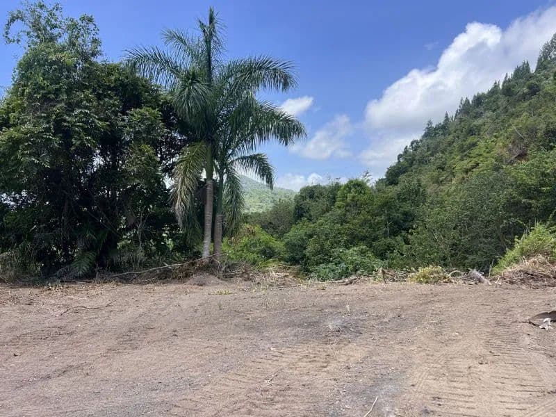 417073 Acres of Land for Sale in Adjuntas - land for sale