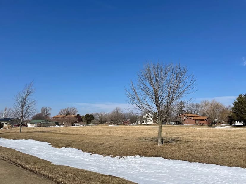 Vacant Land in Cabery