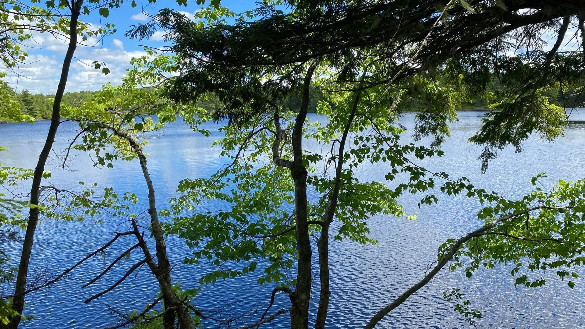 1.09 Acres of Land for Sale in Westfield, NS - Canada