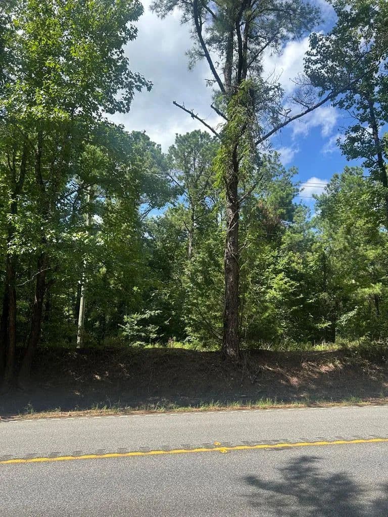 Vacant Land in Waverly Hall - Waverly Hall, Georgia, 31831