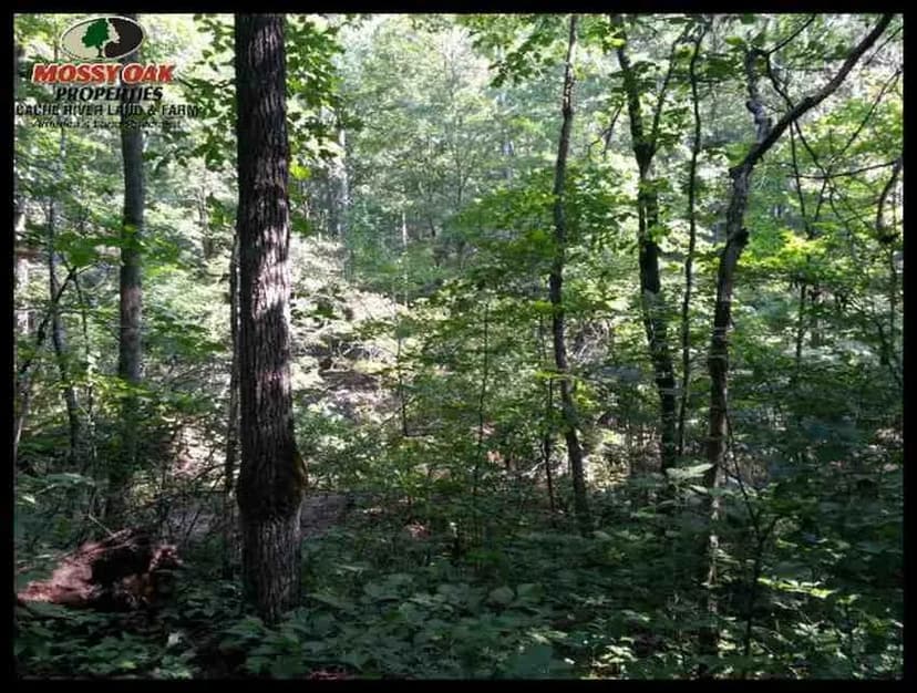 80+- acres Timber Land for Sale in Independence County, AR