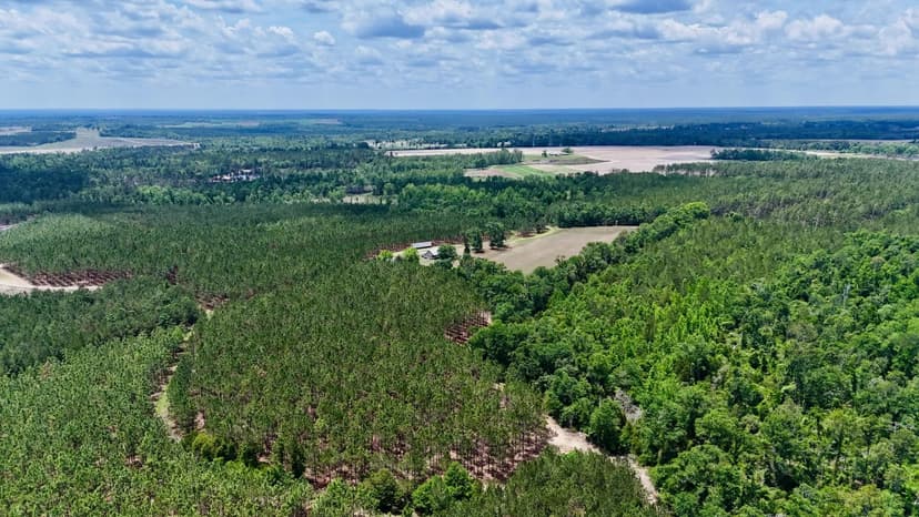 Turnpike Creek Preserve	