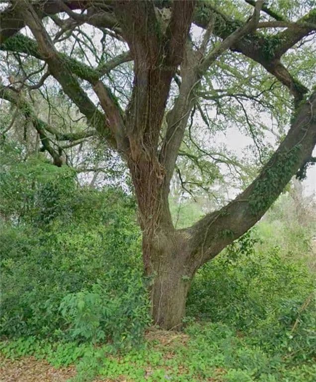 Lots & Land-Other in Natchitoches - Natchitoches, Louisiana, 71457