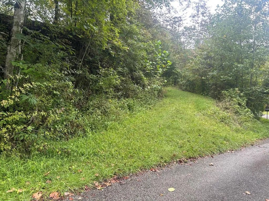 Lots & Land-Other in Inez - Inez, Kentucky, 41224
