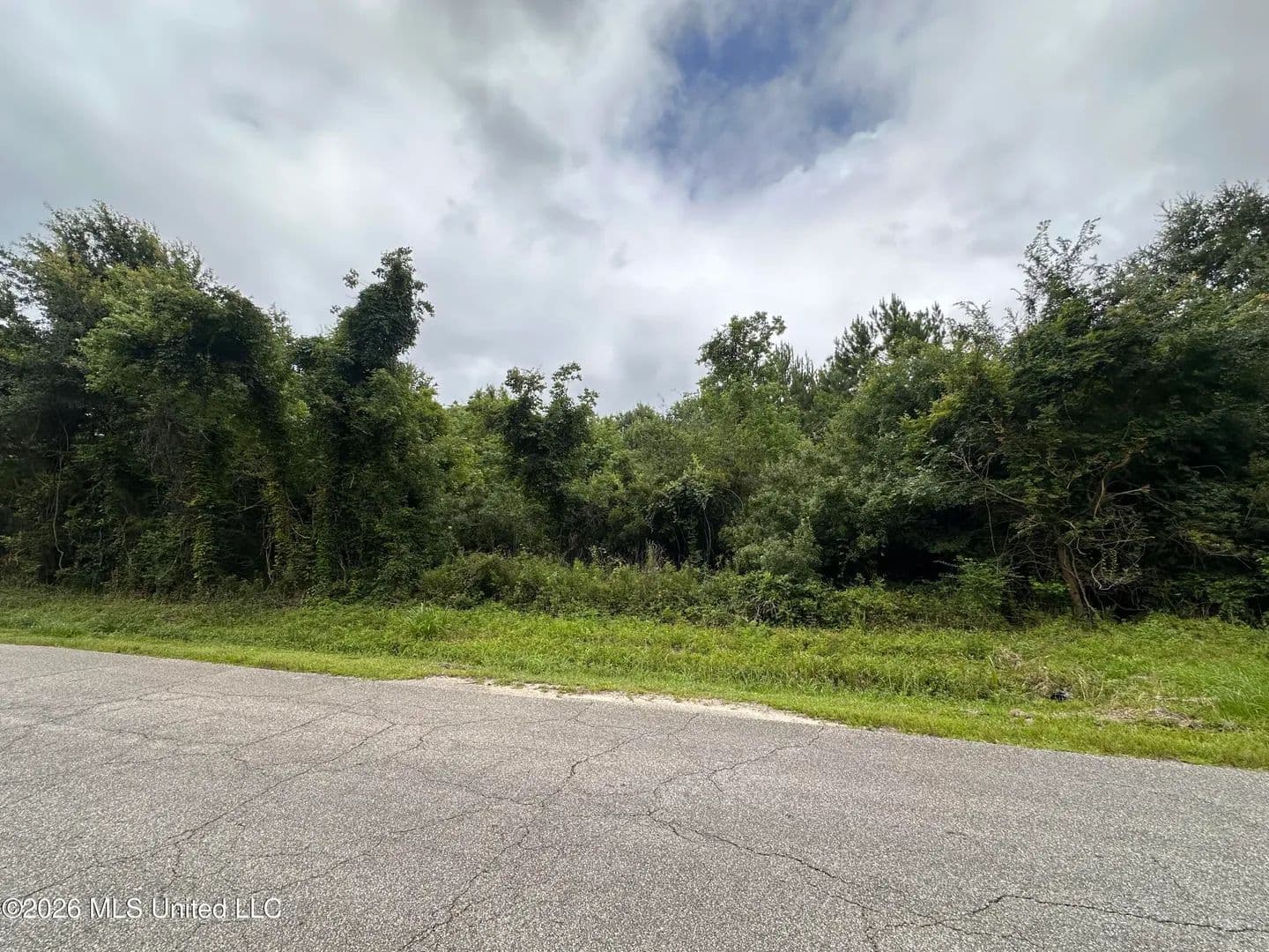 Property from Forest Avenue - KW - Bay Saint Louis, Mississippi, 39520