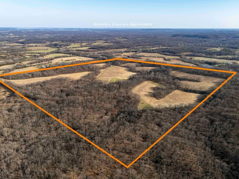163.8-Acres with Great Hunting, CRP Income, & Build Site Options – Pike County