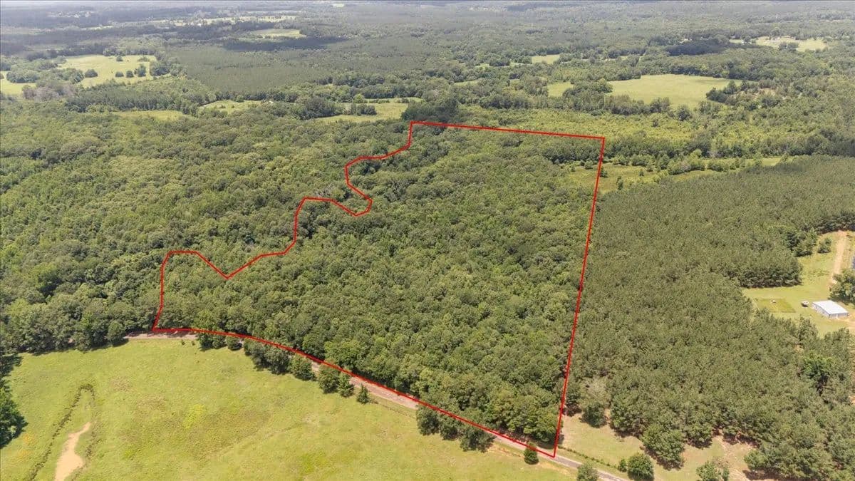 Vacant Land (10+ Acres) in Mt Enterprise - Texas, 75681