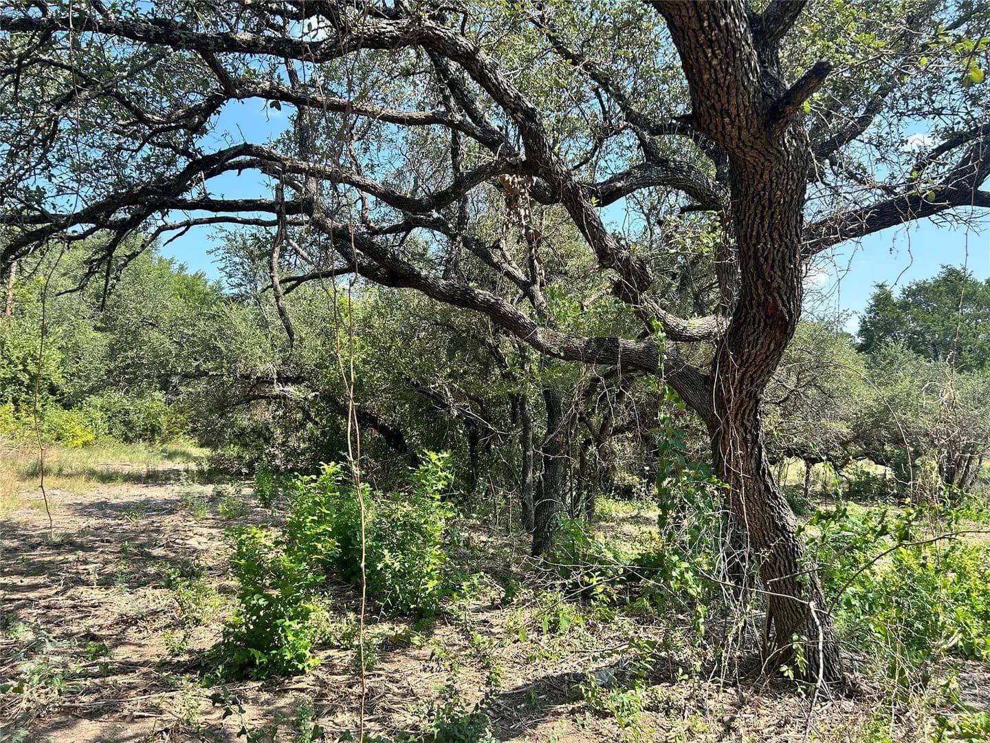 Vacant Land in Jonestown - Jonestown, Texas, 78645