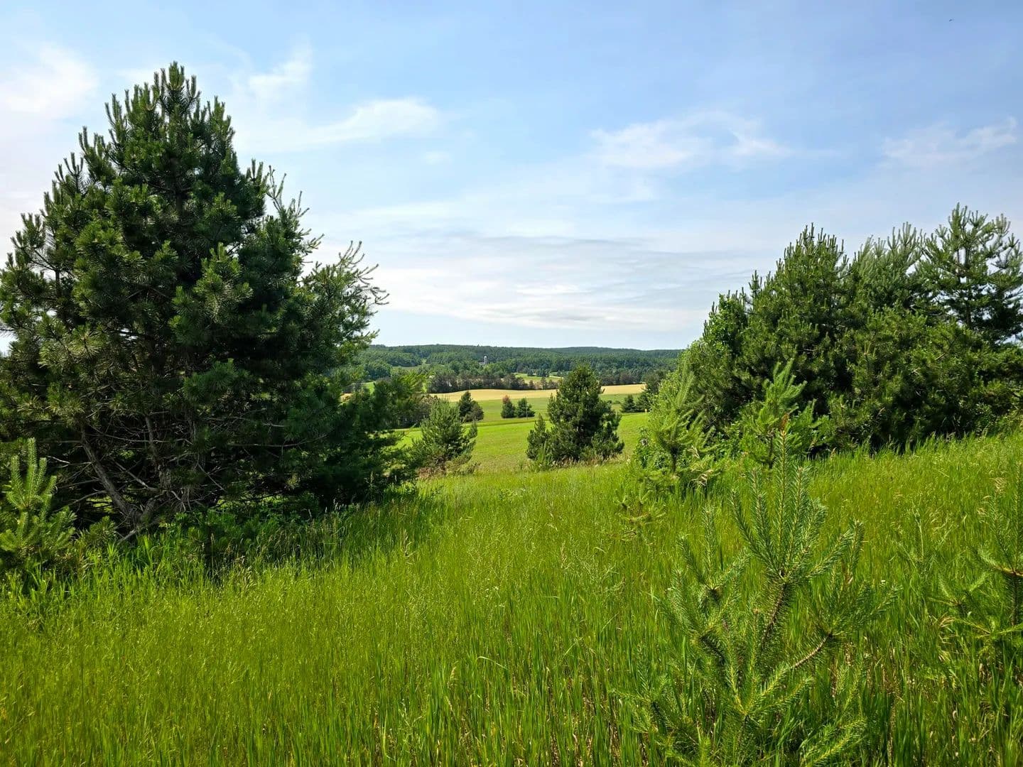 Vacant Land in Harbor Springs - Harbor Springs, Michigan, 49740